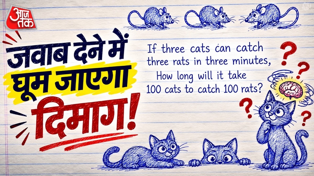  कुछ लोगों को लगता है कि 100 बिल्लियां और 100 चूहे होने की वजह से समय भी बढ़ जाएगा. ( Photo: ITG)
