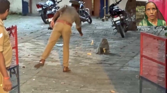 बंदर महिला के हाथ से छीन ले गया था रुपयों से भरा बैग (Photo- Screengrab) 