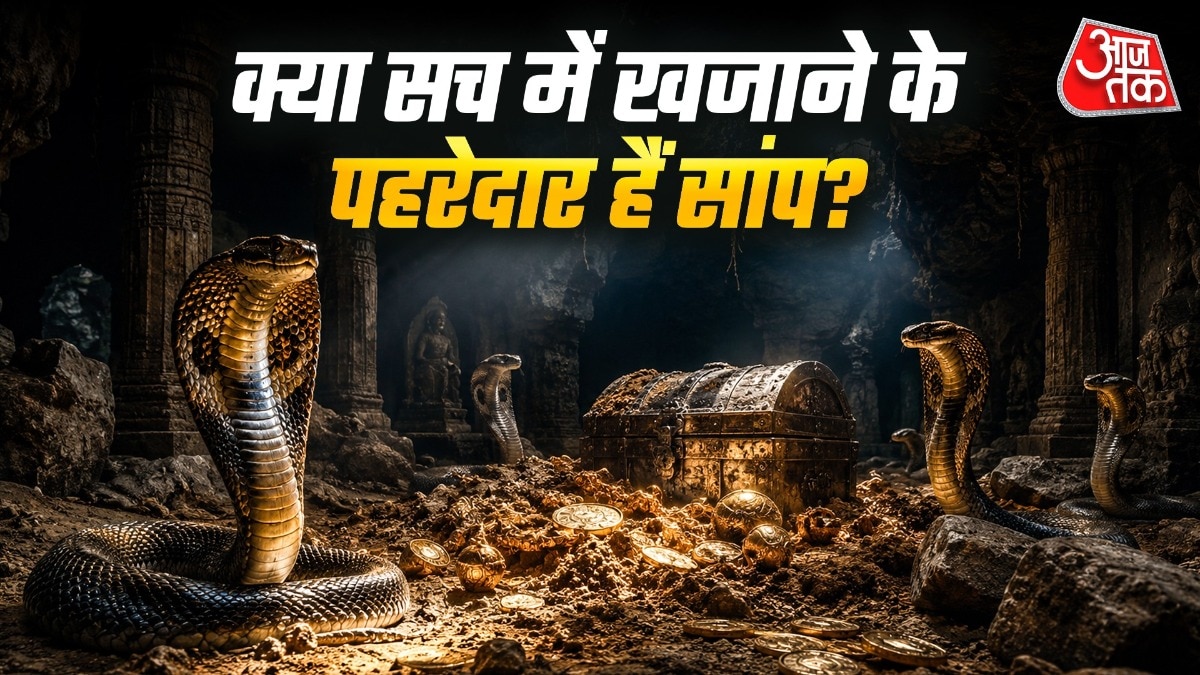 सांपों के खजाने की रक्षा करने की बात वैज्ञानिक तथ्य नहीं है. ( Photo: ITG)