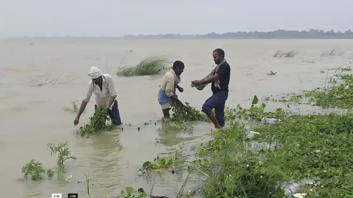 In Chandauli, vegetable crops spread across hundreds of bighas were submerged as the water level of the Ganges rose
