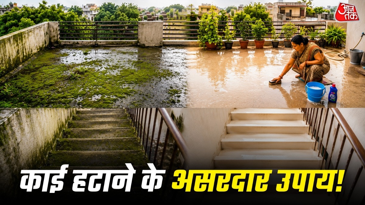 बारिश के पानी से छतों पर अक्सर काई जम जाती है. (PHOTO:AI)