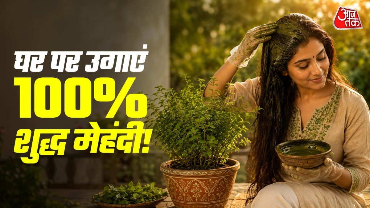 घर पर मेहंदी का पौधा उगाने के लिए उसे धूप में रखना बहुत जरूरी है. (Photo: ITG)