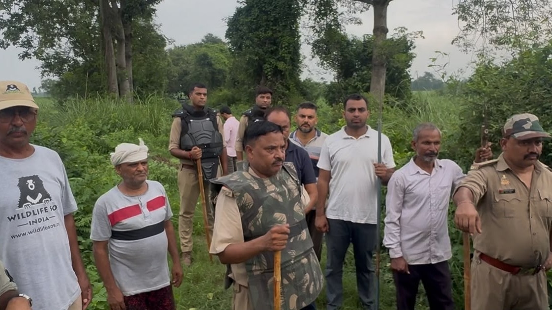 मुरादाबाद में AI कैमरों और ड्रोन से होगी तेंदुए की निगरानी. (Photo: Screengrab) 