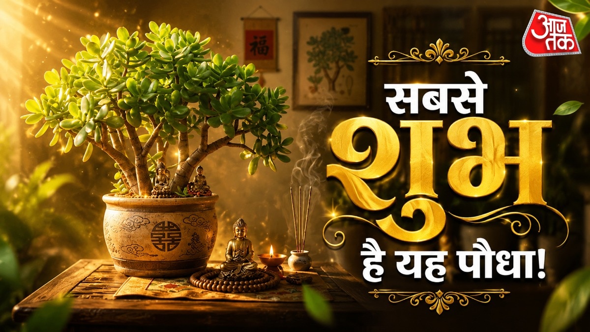 Lucky Plant Vastu Direction 