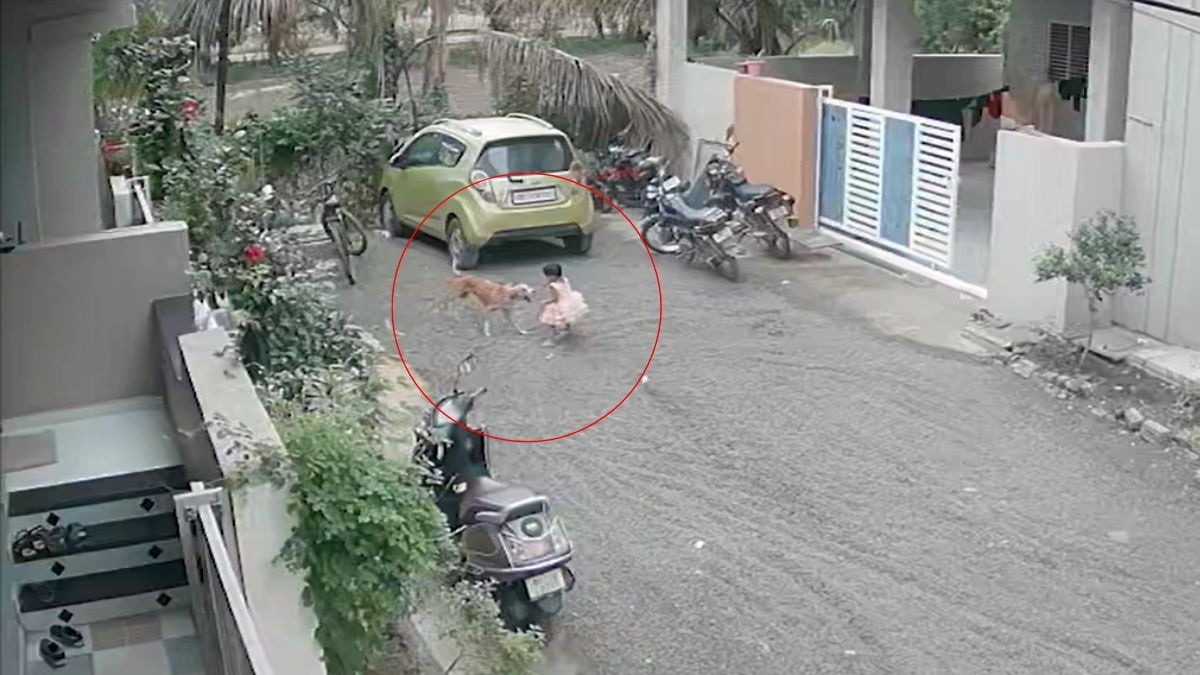 बीड़ में खौफनाक CCTV फुटेज आया सामने. (Photo: Screengrab)