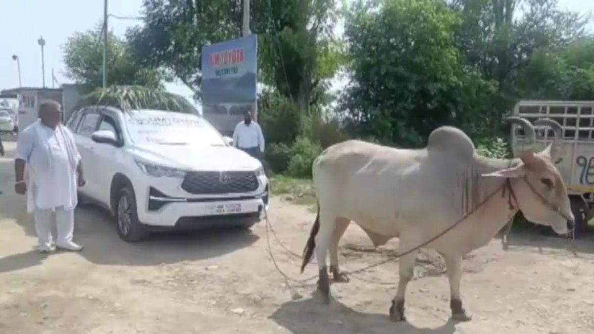 कार की RC 5 महीने से नहीं बन पा रही. (Photo: Screengrab)