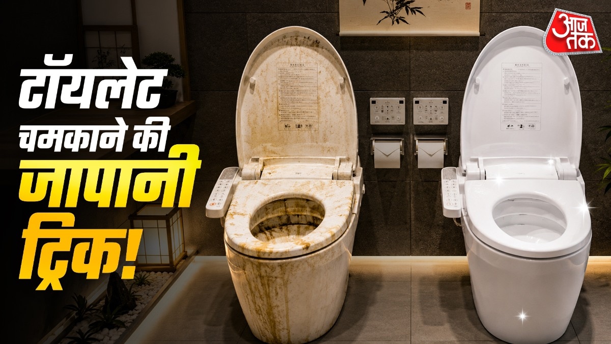 जापान में लोग टॉयलेट चमकाने के लिए ब्लीच का इस्तेमाल नहीं करते हैं. (Photo: ITG)