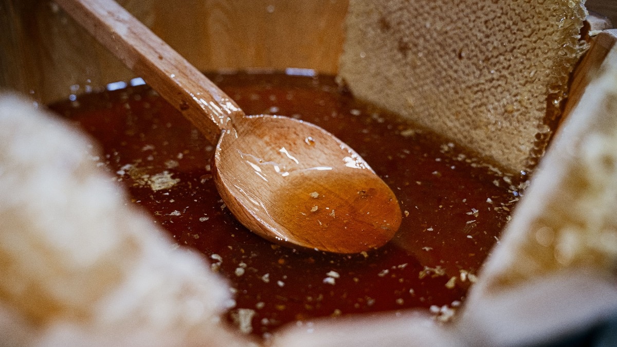 भारत का शहद कारोबार बढ़ने की राह पर (Photo-Pexels)
