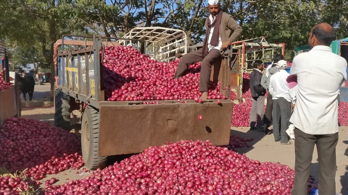 Modi Govt On Onion Price Hike