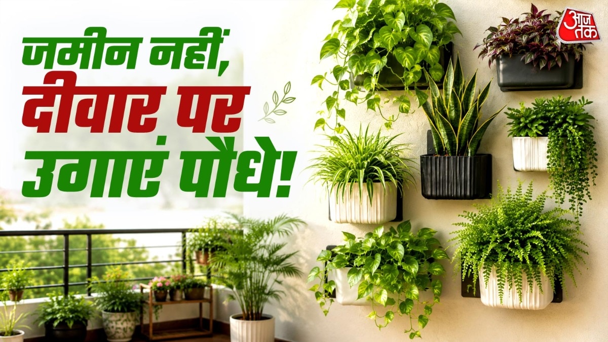 Wall Plants (Photo: ITG)