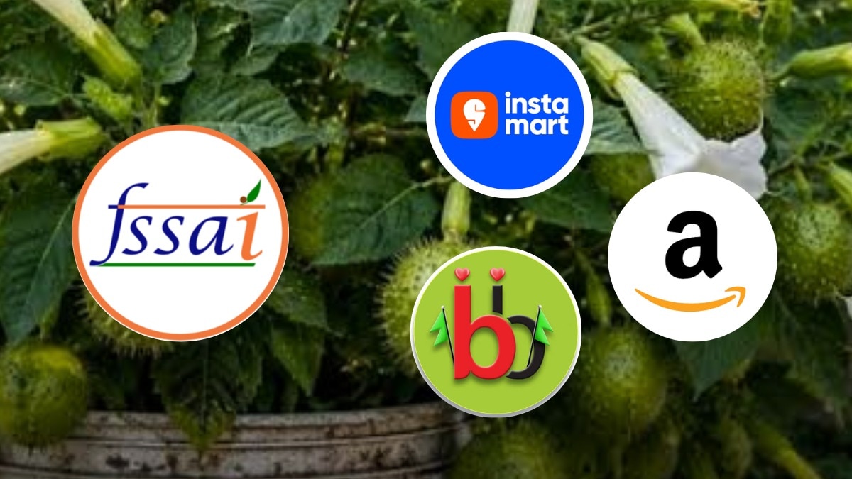 कर्नाटक खाद्य सुरक्षा विभाग ने Amazon, Swiggy Instamart और BigBasket के फूड लाइसेंस सस्पेंड करने का आदेश दिया है. (Photo Credit-ITG)