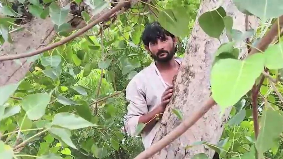 डॉक्टर ने मारा थप्पड़ तो पेड़ पर चढ़ा युवक (screengrab itg)