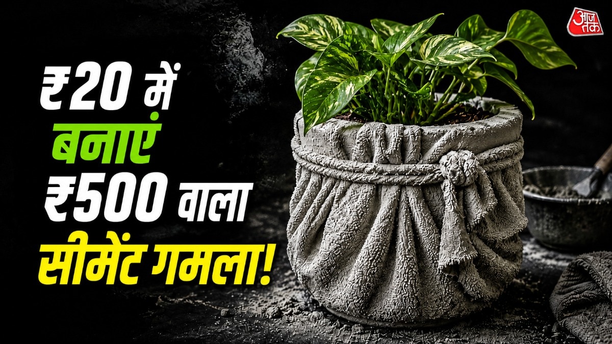 पुराने तौलिए और बाल्टी की मदद से आप सुंदर गमला बना सकते हैं. (Photo: ITG)