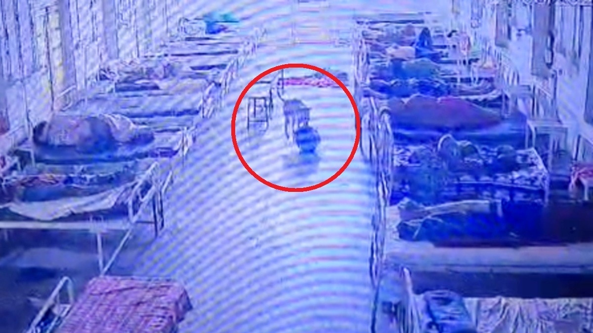 पुलिस ने CCTV ट्रेस कर खोज निकाला सामान.(Photo:Screengrab)