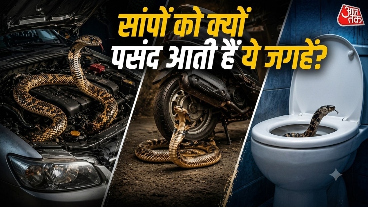 सांपों को बेहद पसंद आती हैं ये जगहें (Photo-ITG)