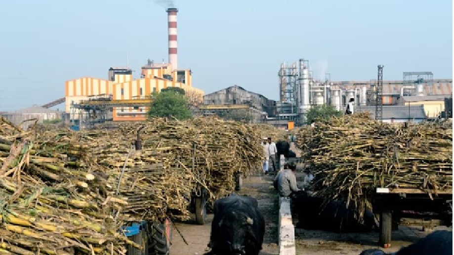 अचानक चीनी की कीमतों में बड़ी गिरावट. (Photo: ITG)