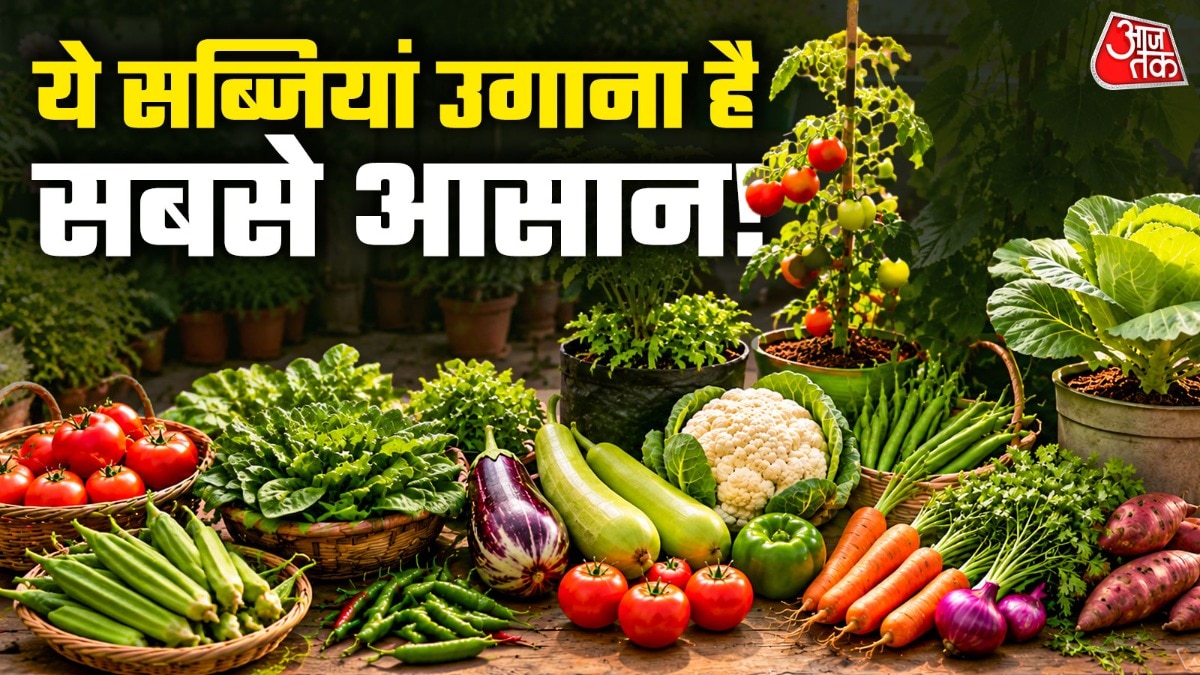 टमाटर से लेकर धनिए जैसी चीजें घर पर उगाना सबसे आसान है. (Photo: ITG)