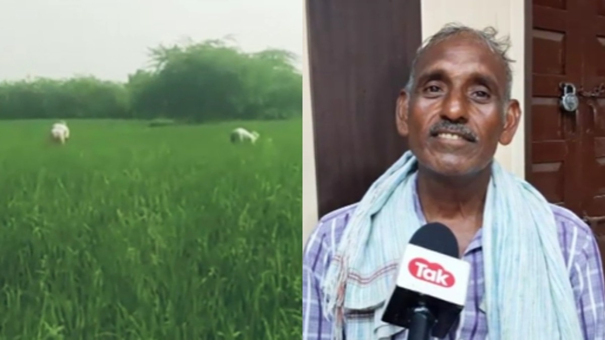 योगी सरकार में 6 बीघा भूमि हुई मुक्त.(Photo: Screengrab)