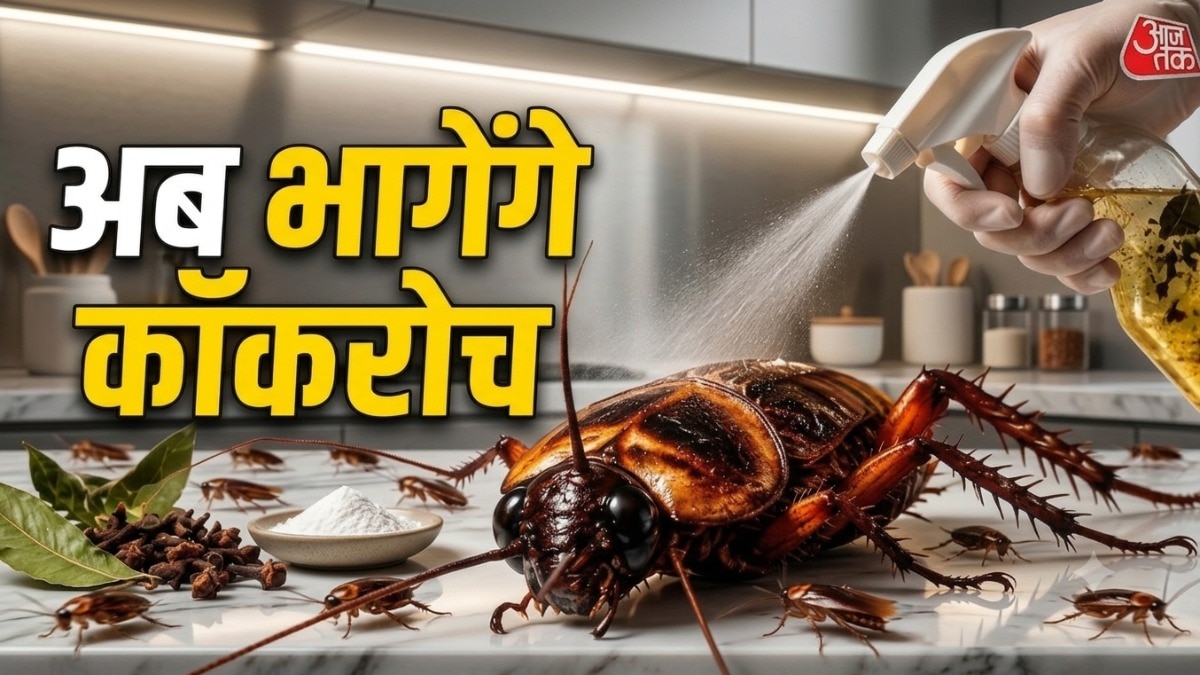 how to get rid of cockroaches
