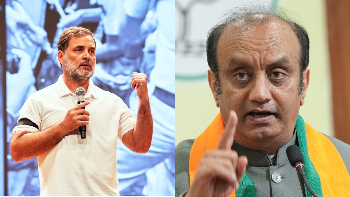 BJP ने राहुल गांधी पर झूठ फैलाने का आरोप लगाया. (Photo- PTI)