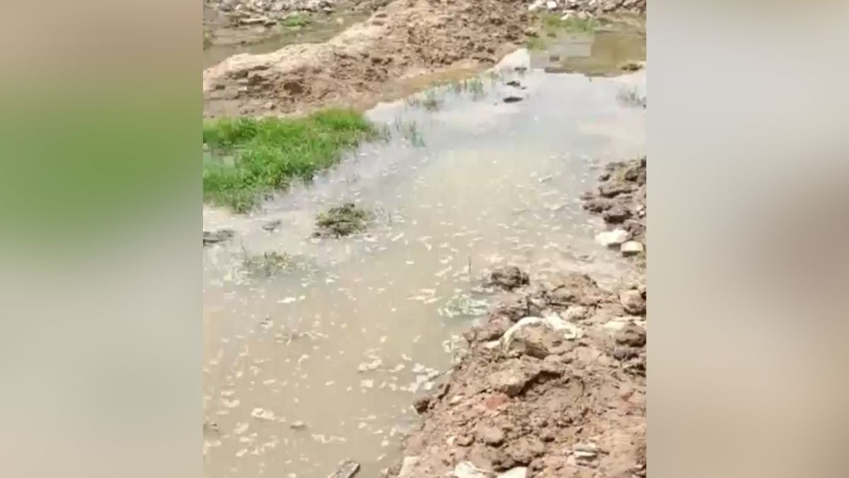 जेसीबी से खोदा गया था गड्ढा. (Photo: Screengrab)