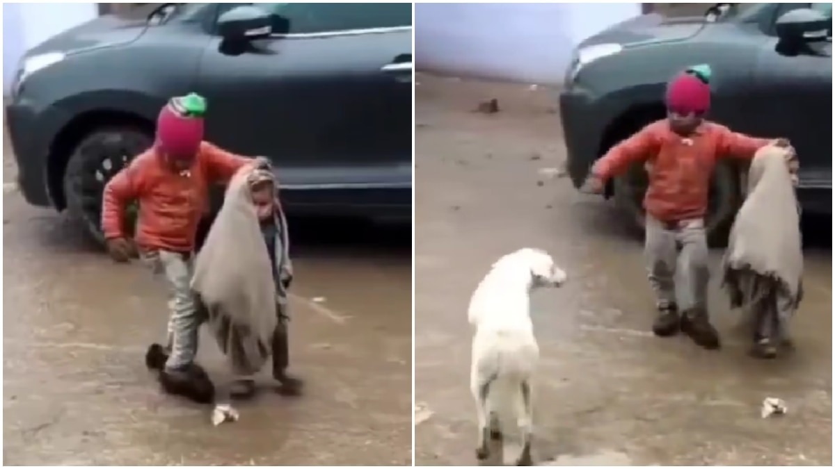 Little boy shields sister from rain, chases away dog in sweet Raksha Bandhan video
