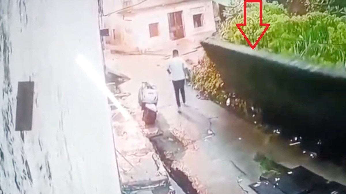 दतिया में युवक के निकलते ही भरभराकर गिरी दीवार.(Photo:Screengrab)