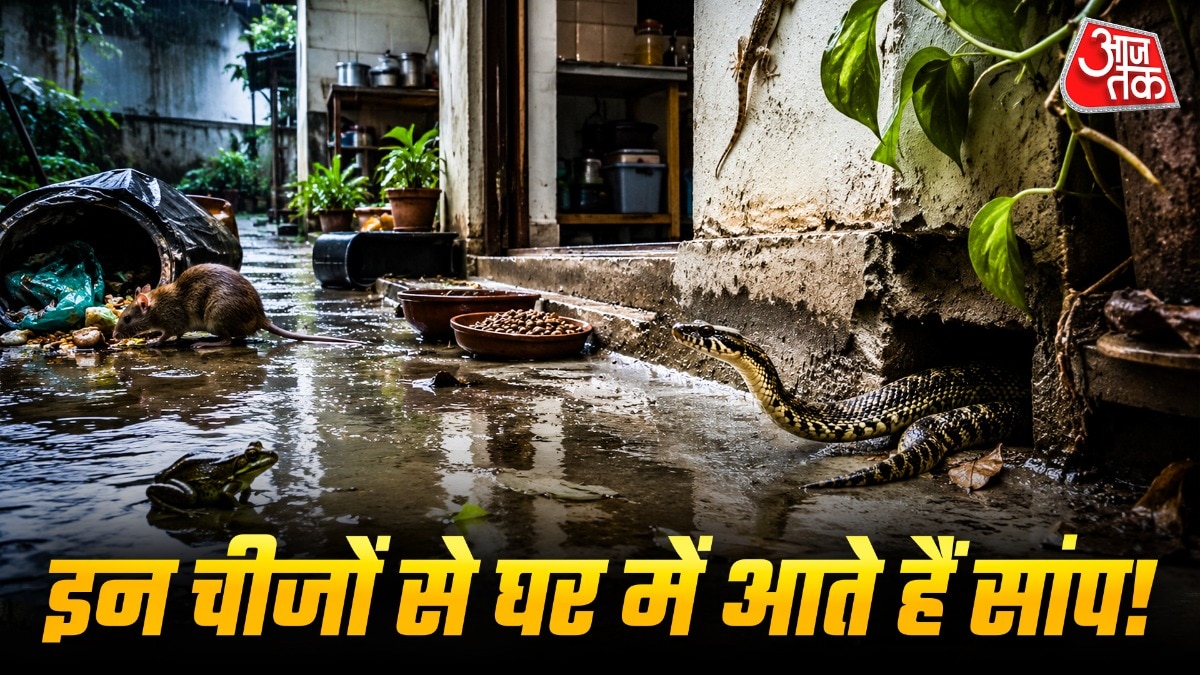 Snakes In Home (Photo: ITG)