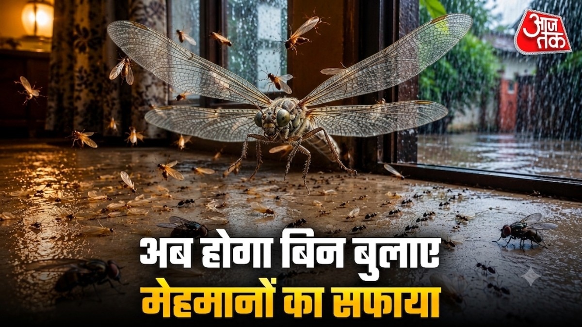 बारिश में घर की ये चीजें कीड़ों को खींचती हैं (Photo: ITG)