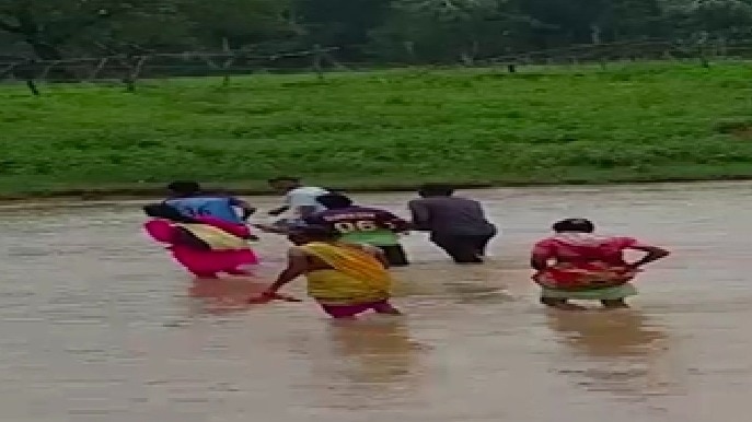 गर्भवती को खाट पर लिटाकर ले जाते ग्रामीण. (Photo: Screengrabs)