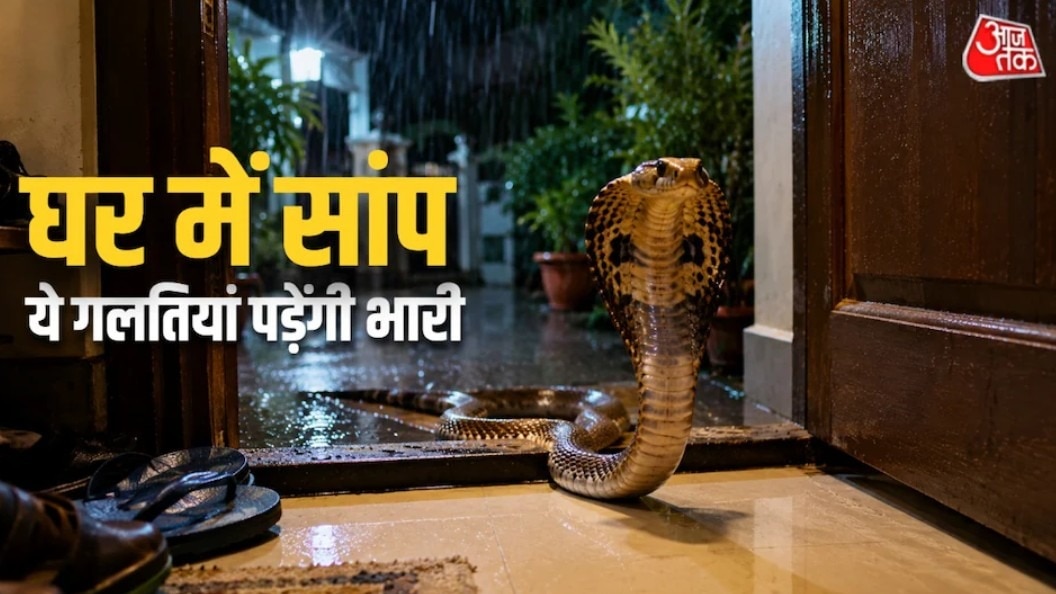 ये चीजें सांपों की खींचती हैं घर के अंदर (Photo: ITG)