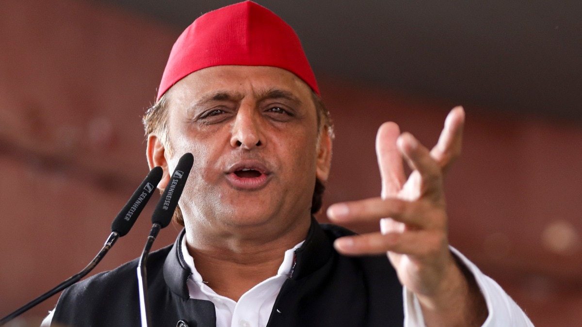 दिव्या मित्तल के इस्तीफे पर अखिलेश यादव का तंज. (Photo: PTI/File)