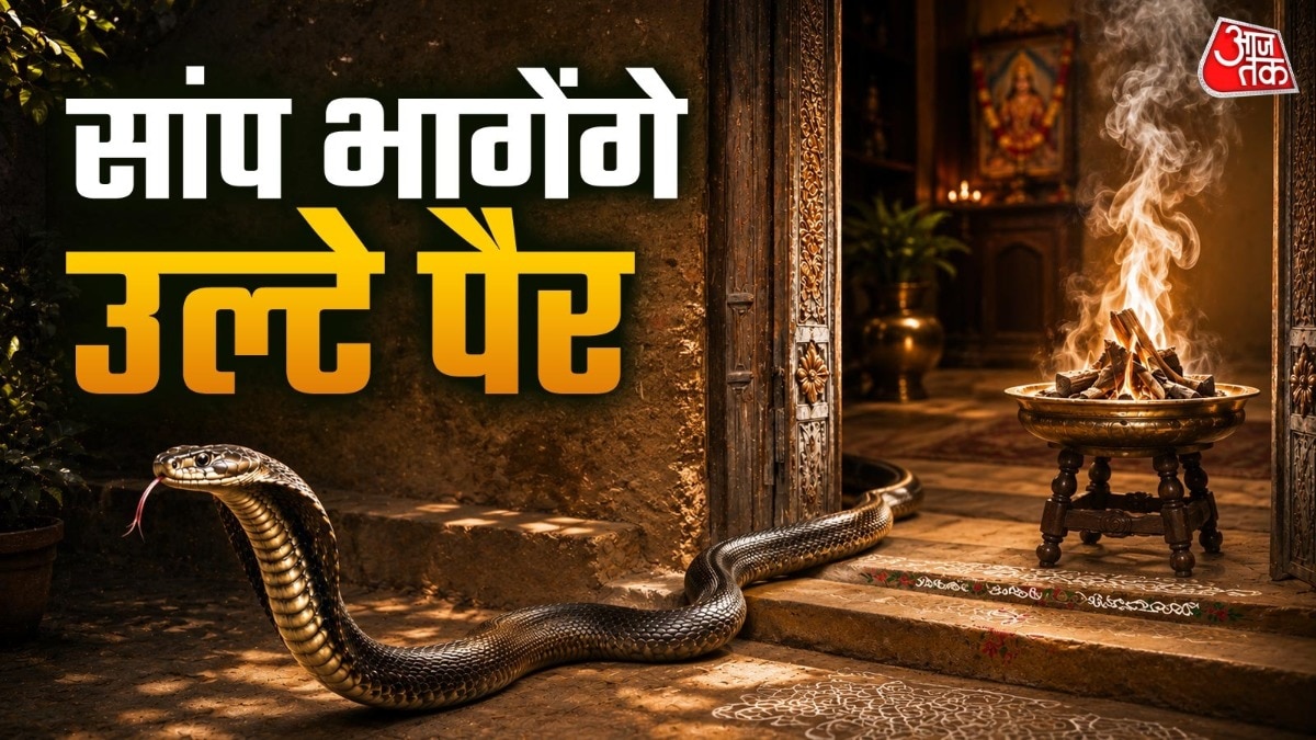 सांपों को दूर रखती हैं ये 4 गंध (Photo: ITG)
