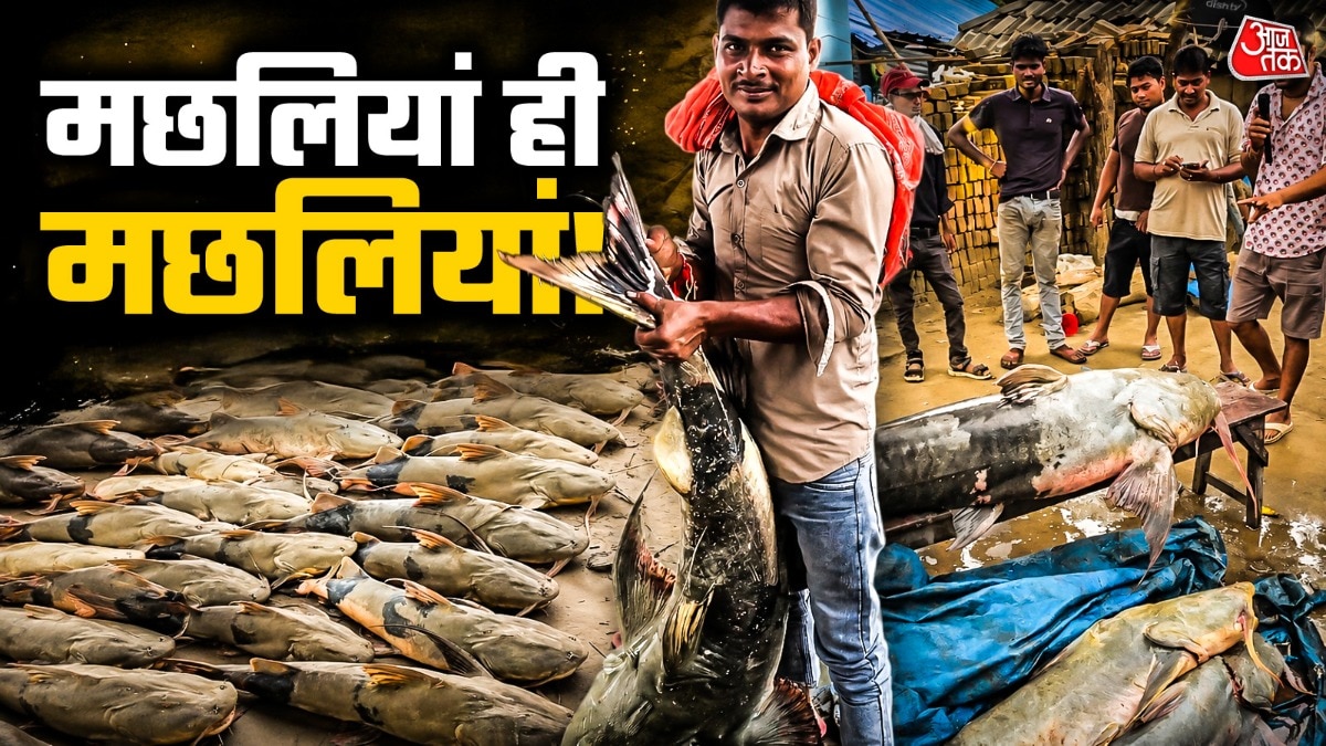 Nepal flood Bihar giant fish, Gandak river fish