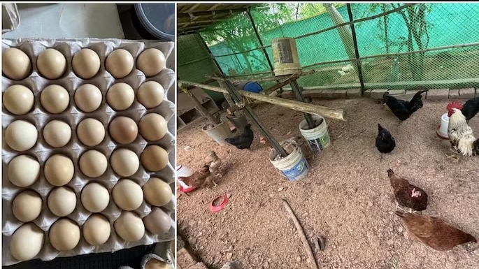 महिला का नाम मारिया हर्षिता है. (Photos: Maria Harshitha/LinkedIn)