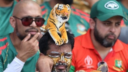 सीरीज के लिए विंडो की तलाश. (Photo @ICC)