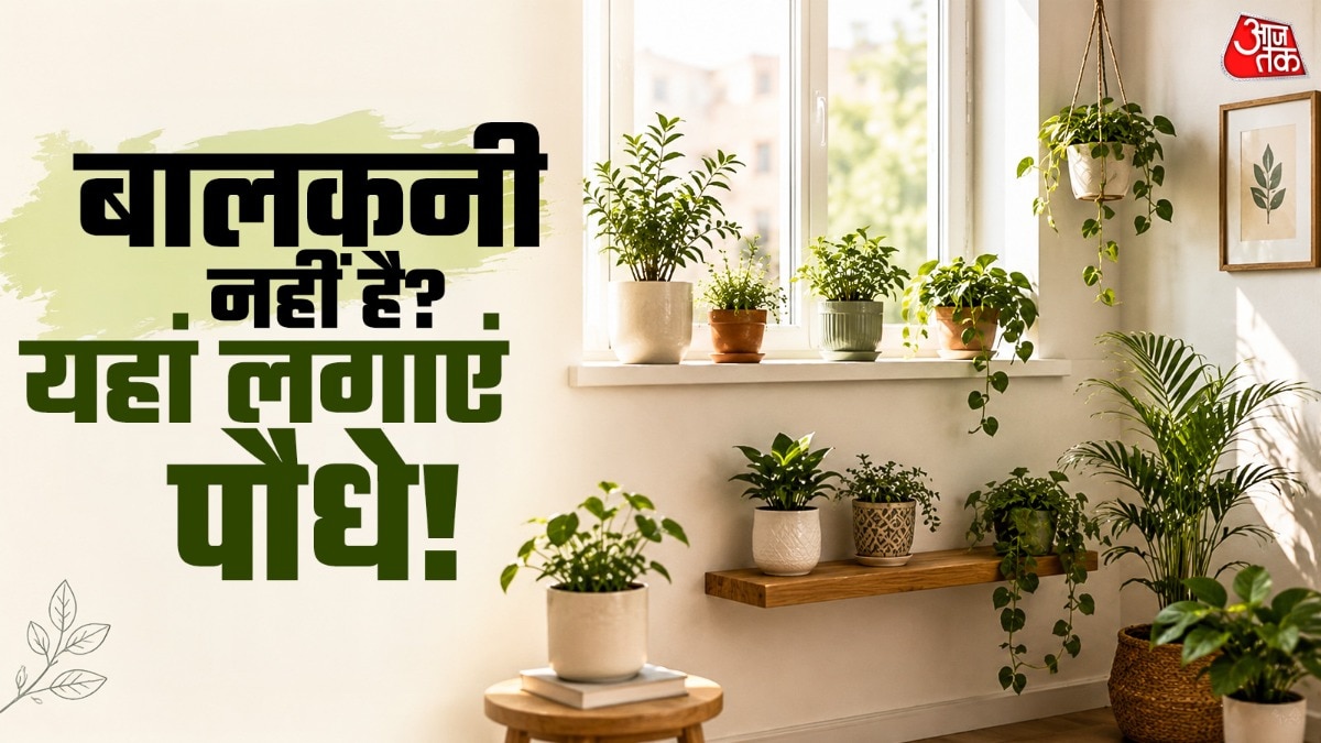 आप खिड़की के पास भी छोटे-छोटे पौधे लगा सकते हैं. (Photo: ITG)