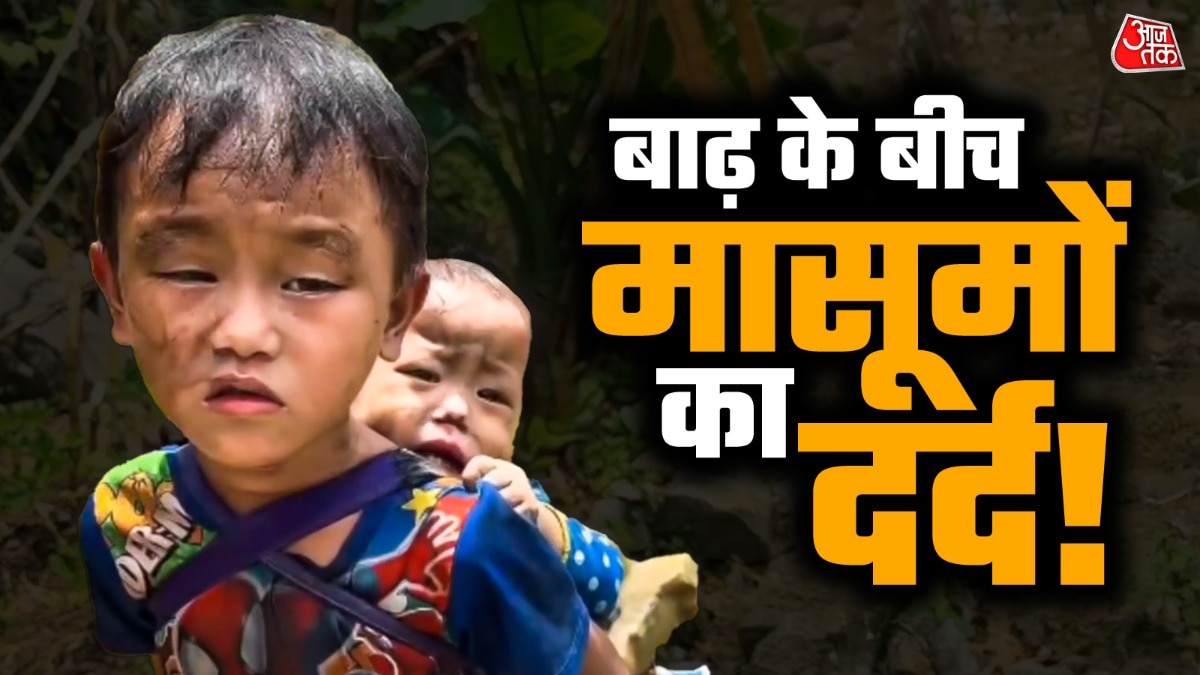 इस वीडियो को 30 अगस्त को X पर कई लोगों ने शेयर किया (Photo: X/@JeetN25)