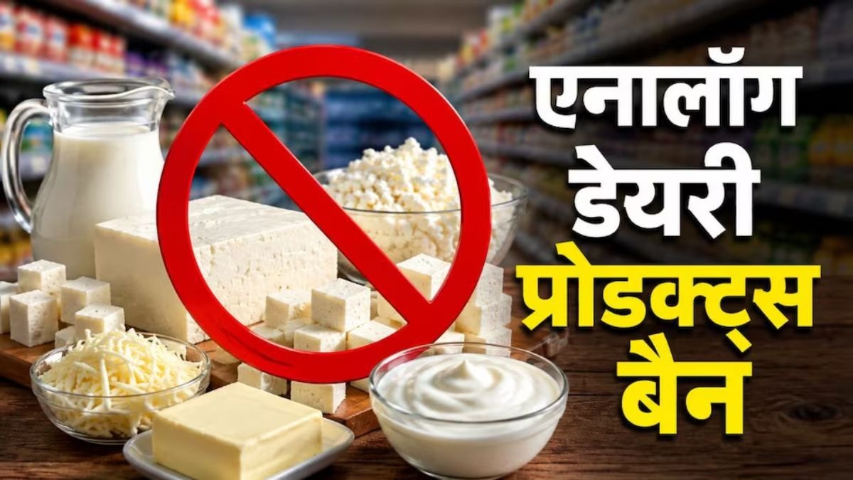 एनालॉग डेयरी प्रोडक्ट्स 