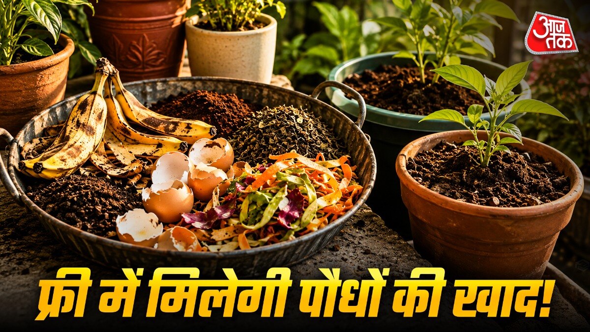 रसोई के कचरे से पौधों को पोषण मिलता है. (Photo: ITG)