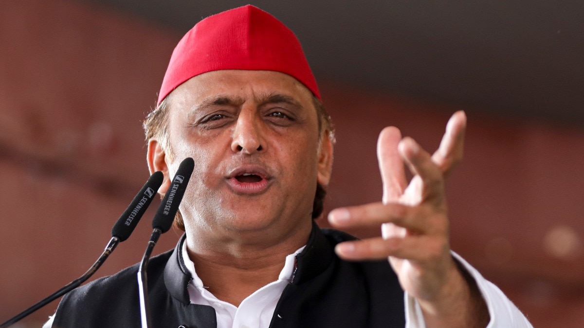 दिव्या मित्तल के इस्तीफे पर अखिलेश यादव का तंज. (Photo: PTI/File)