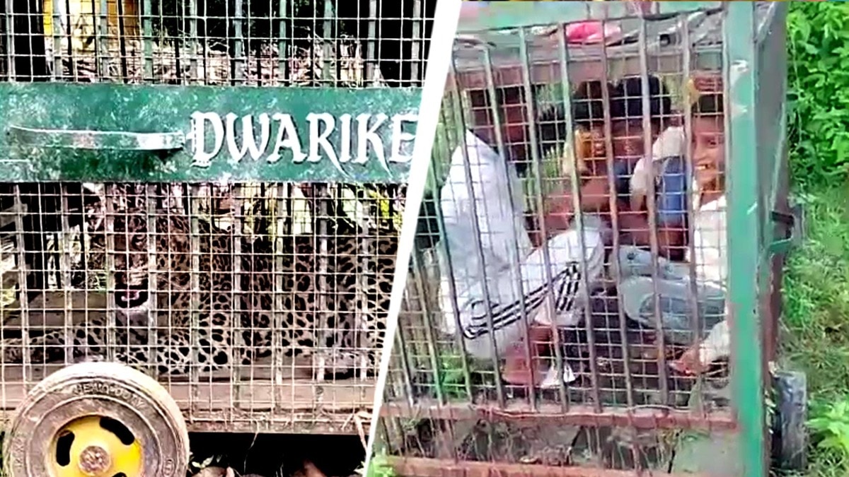 गुलदार के पिंजरे के पास ग्रामीणों की भीड़. (Photo: Screengrab)
