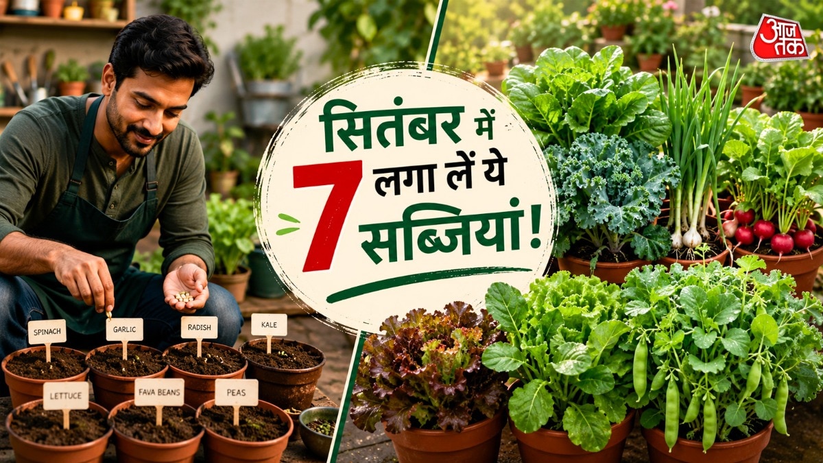 सितंबर का बदलता मौसम सब्जियां बोने के लिए बढ़िया माना जाता है. (Photo: ITG)
