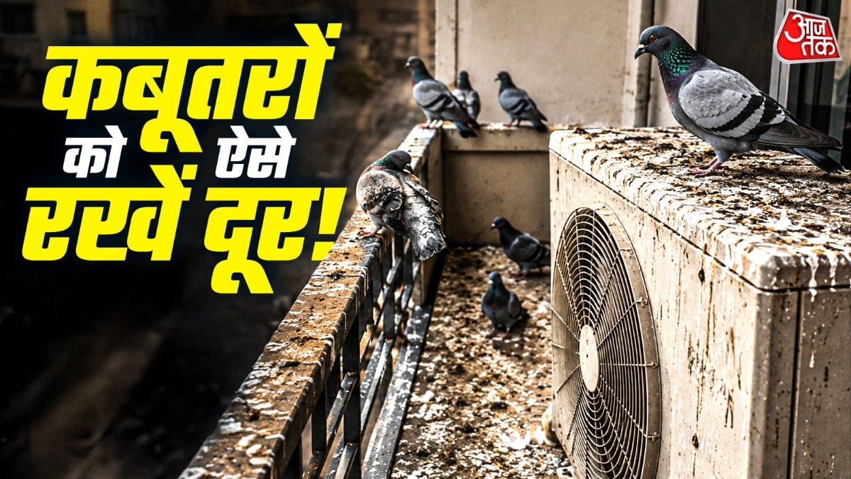 कबूतरों से छुटकारा दिलाने के लिए CD भी आपकी मदद कर सकती हैं. (Photo: ITG)