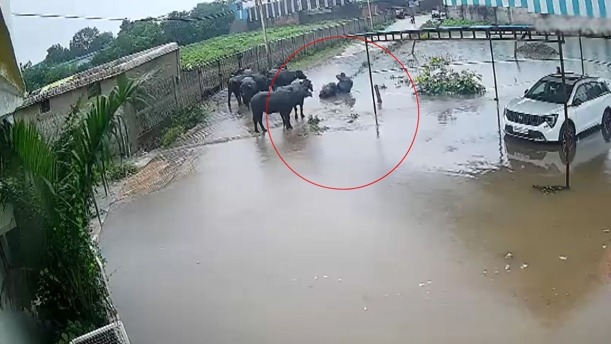 गड्ढे में समा गया स्कूटी सवार. (Photo: Screengrab)