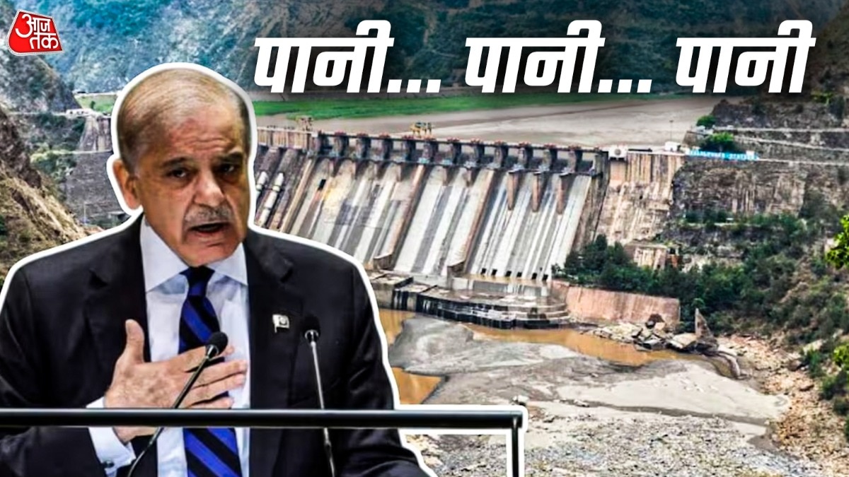  रील में शहबाज शरीफ का पानी वाला बयान दिखाया गया है (Photo:ITG)