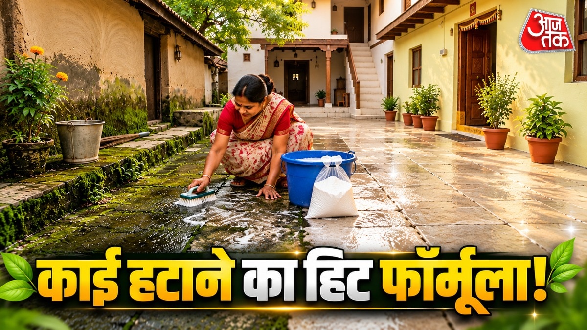 बारिश में काई दीवारों पर भी जम जाती है. (PHOTO:AI)