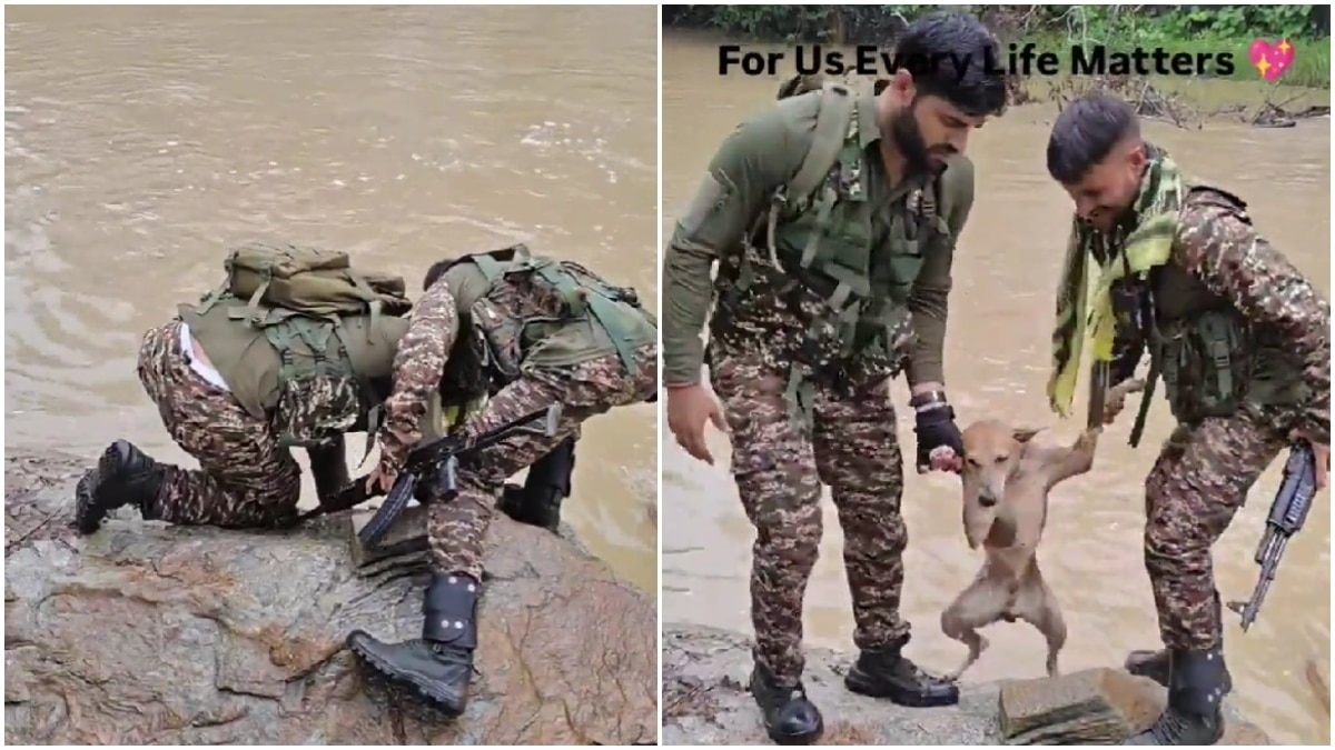  इस पूरे रेस्क्यू का वीडियो वायरल है (Photos: @gharkekalesh/X)