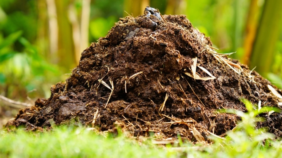 मुख्य आरोपी गिरफ्तार.(Photo: Representational)