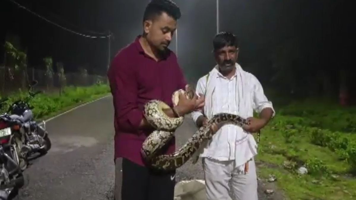 सूचना पर रेस्क्यू के लिए पहुंची एनजीओ की टीम. (Photo: Screengrab)